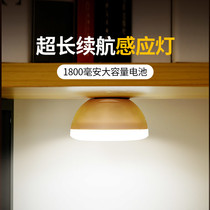 Rechargeable human body sensor light Sound-activated stairs Home wardrobe night light led aisle light intelligent light control at night