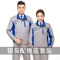 Серебряный серый с великолепным синим костюмом