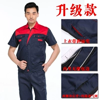 Обновление-красное плечо Тибетское синяя одежда (установка)