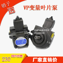 Hydraulic variable vane oil pump VHO-F-08 12 15 20-A1 A2 A3-T9Z VHO-F-20-A3