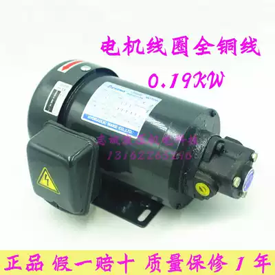 Cycloid pump TOP-12A lubrication motor pump set Triangle oil pump motor TOP-63 0 19KW 13A oil pump