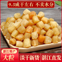 Dried shellfish Yaozhu Super Zhanjiang specialty light dry scallop column Ding 250g Yuanbei seafood dry goods 2 500g 500g