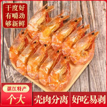 Dried shrimp extra large large prawns dried shrimp ready-to-eat seafood dried Zhanjiang specialty extra large dried shrimp snacks 500g