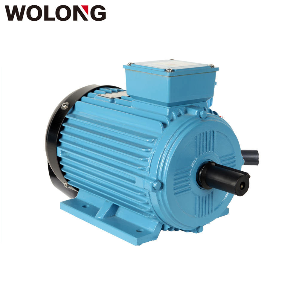 Wolong Electric YE3 series cast iron shell ultraefficient threephase