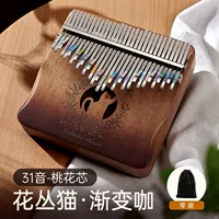 Обновление, содержащее полутоновое 31 звуковое персиковое ядро ​​кофе цветов]+подарок