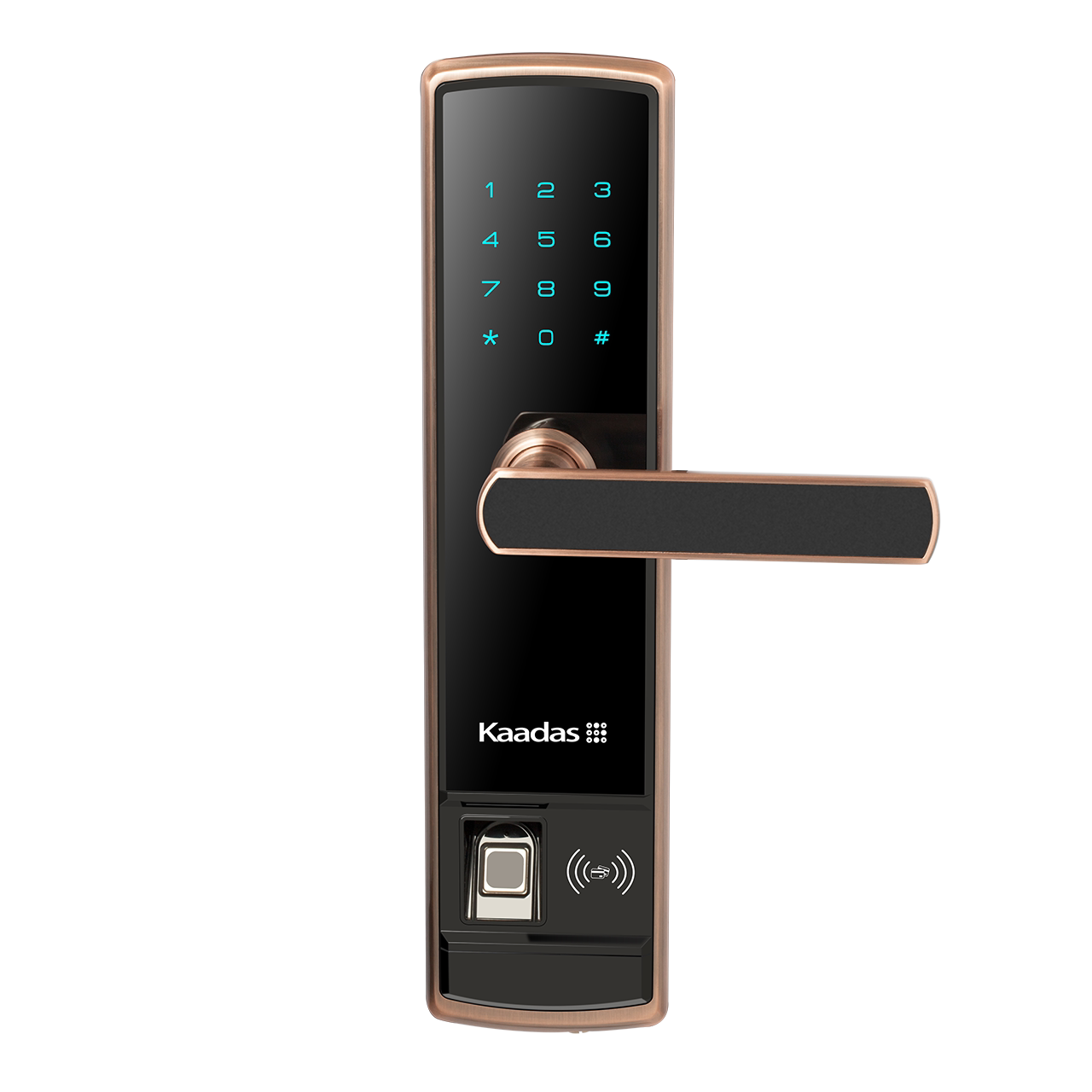 Купить Замок дверной электронный Кайди Ши отпечатков пальцев замок ...