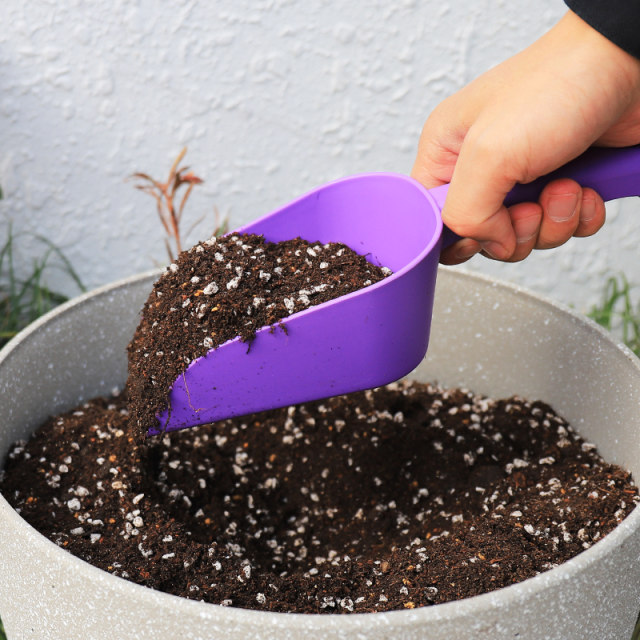 Dog food cat litter shovel plastic soil shovel succulent soil spoon balcony vegetable digging shovel gardening flower pine soil tool