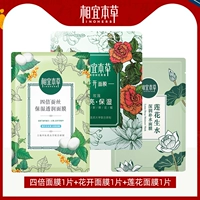 Доступная Materia Medica четыре раза+цветы цветов+1 маска лотоса каждая таблетка