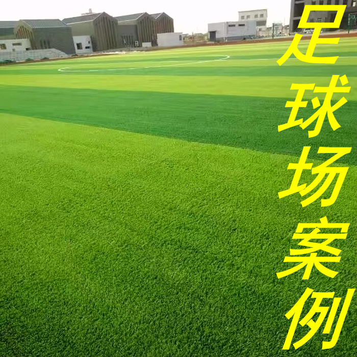 Artificial turf municipal exterior wall blocks simulation of fake green grass school stadium kindergarten soccer field new national standard