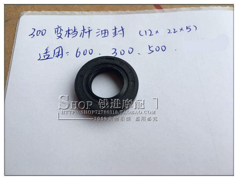 Qian Jiang Original Loaded Yellow Dragon BJ600GS Blue Treasure Dragon 300 Gold Peng 500 Jin Peng 500 Transformation Lever Oil Seal