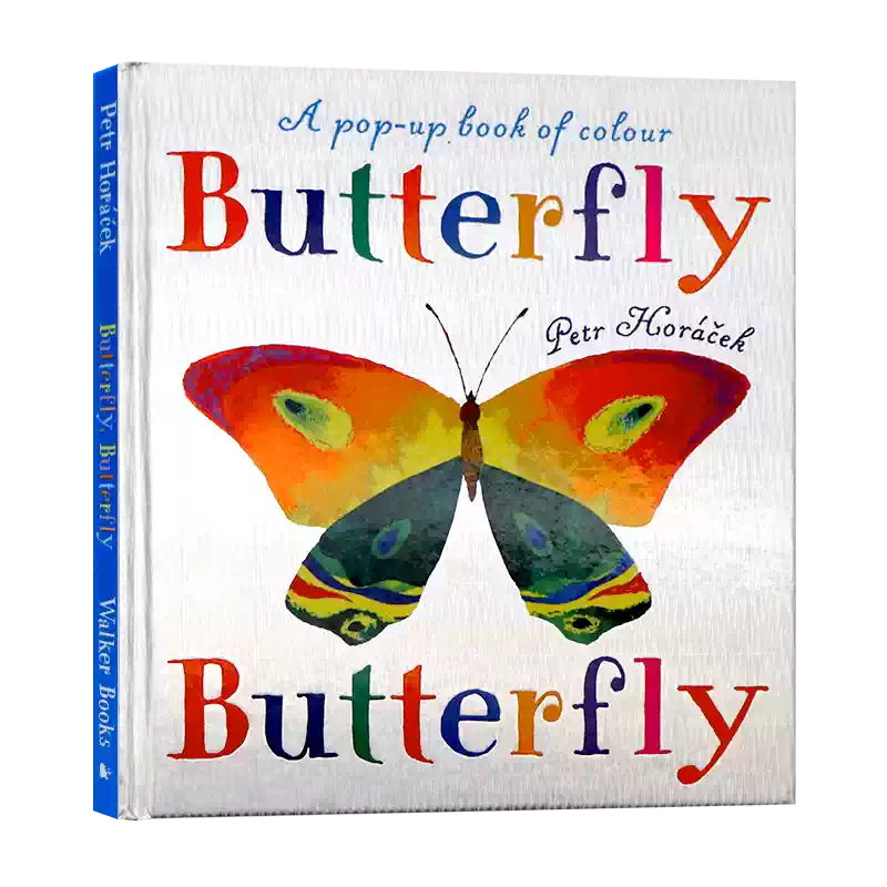 蝴蝶英文原版绘本Butterfly Butterfly A Book of Colors 儿童阅读昆虫