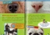 English truyện tranh gốc National Geographic Kids Level3: Mèo VS.Dogs National Geographic lớp tiểu học đọc sách ảnh cho trẻ em Tiếng Anh Giác Ngộ Đồ chơi giáo dục