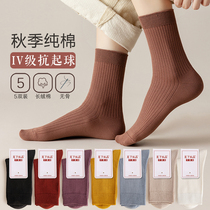 Socks female autumn socks Cotton solid color high stockings cotton not ball qiu dong kuan women stockings
