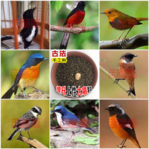 West Shu Hall Handmade Omnivorous Birds Food Promotion Upper Sex Great Singing Small Black And White Bird Food Feed North Red Mountain Blue Fairy Bird Bird Food