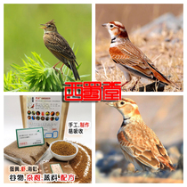 West Shu Hall Artisanal Thyme Cloud Nestling Birds Dietitian to raise raw and fat to collect grain and bird-eating thyme cloud finch feed