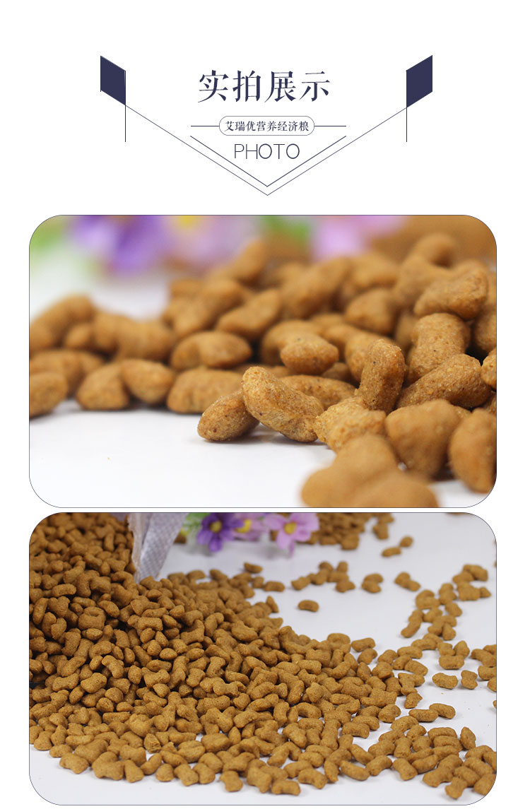 Thức ăn cho chó có hương vị thịt bò Gấu bông Xiong VIP Xuena Ruiji Búp bê Golden Retriever chó con thức ăn dành cho người lớn 10 kg - Chó Staples cám cho chó