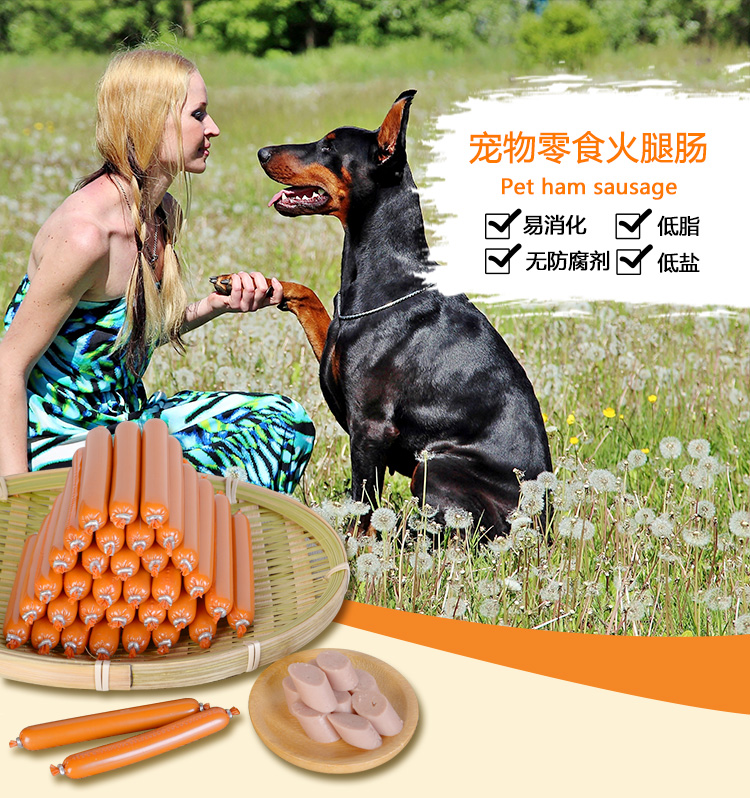 Dog ham xúc xích 30 teddy vàng tóc đào tạo phần thưởng canxi miễn phí salt miễn phí snack puppies cat dog xúc xích ganador puppy 3kg