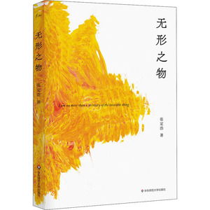 无形之物 张定浩 著 中国现当代文学 文学 华东师范大学出版社 畅销书籍排行 新华正版