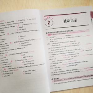 2020新版无敌高中英语语法练习题集高中版 搭配语法学习高一高二高三年级全适用配套高1高2高3年级无敌高中英语语法使用