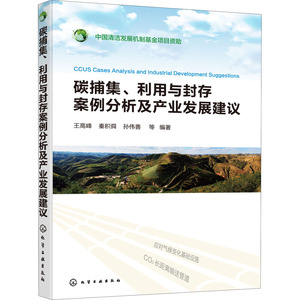 碳捕集、利用与封存案例分析及产业发展建议 王高峰 等 编 化工技术 专业科技 化学工业出版社 9787122370396