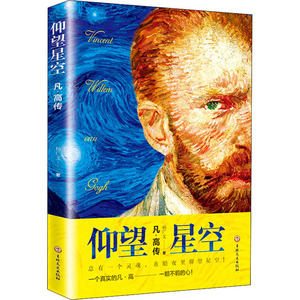 仰望星空 凡·高传 杨广文 著 外国名人传记名人名言 文学 吉林文史出版社 畅销书籍排行 新华正版