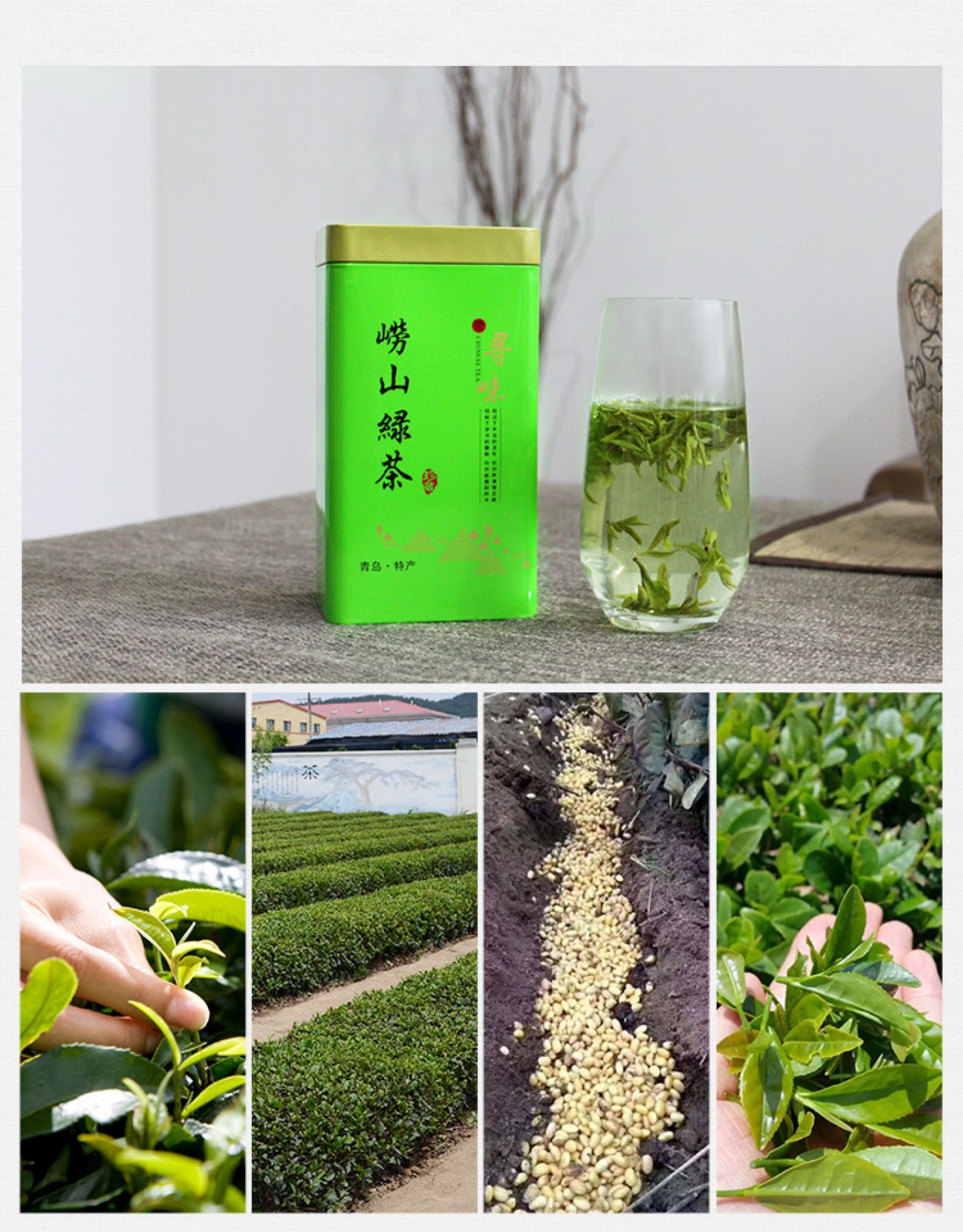 崂陈 19明前崂山绿茶 500g 图8