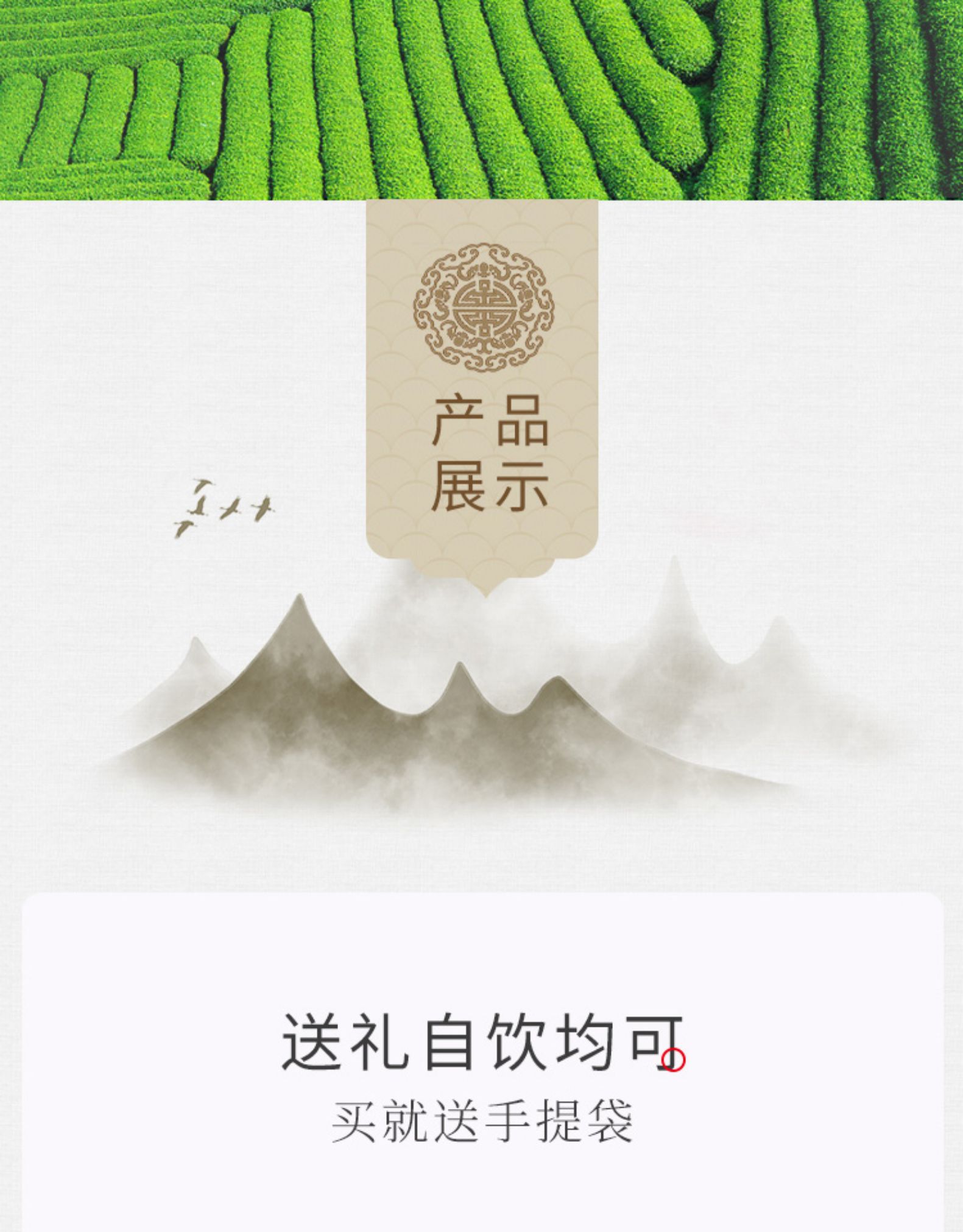 崂陈 19明前崂山绿茶 500g 图12