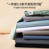 Tide, демисезонный лонгслив, хлопковая оригинальная цветная приятная телу толстовка