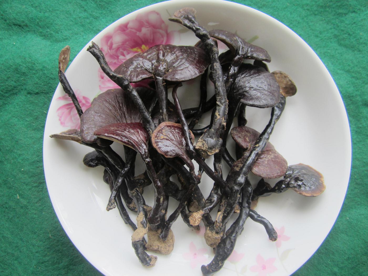 Hainan wuzhishan qiongzhong ganoderma pure wild black bamboo ganoderma purple bamboo ganoderma pruning 250g