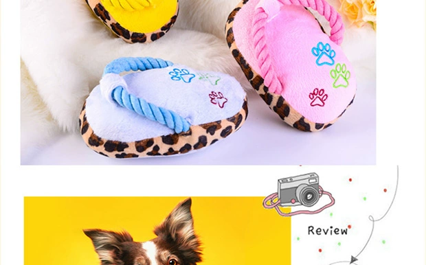 Chó đồ chơi ngắn dép sang trọng âm thanh đồ chơi mèo đồ chơi Teddy vật nuôi cung cấp chó cắn cắn mol đồ chơi - Mèo / Chó Đồ chơi