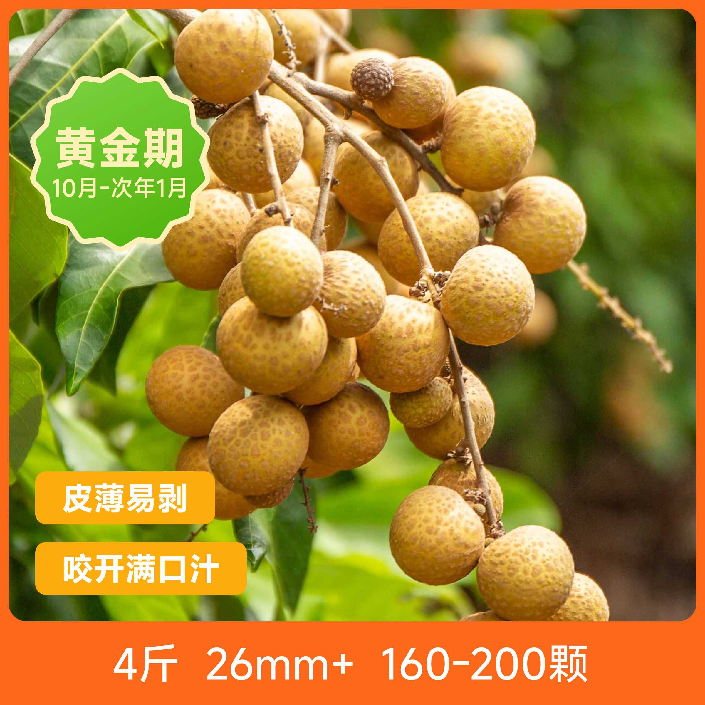 辰颐物语:带你品味新鲜泰国金标龙眼的魅力