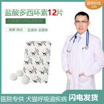 Doxycycline hydrochloride tablets for dogs and cats Mycoplasma chlamydia infection tetracycline cough cough chronic pharyngitis Erich body