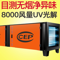 Special 8000 AIR VOLUME LOW AIR DISCHARGE OIL SMOKE PURIFIER HOTEL KITCHEN COMMERCIAL BARBECUE SMOKE FREE ENVIRONMENTALLY FRIENDLY NET PECULIAR SMELL