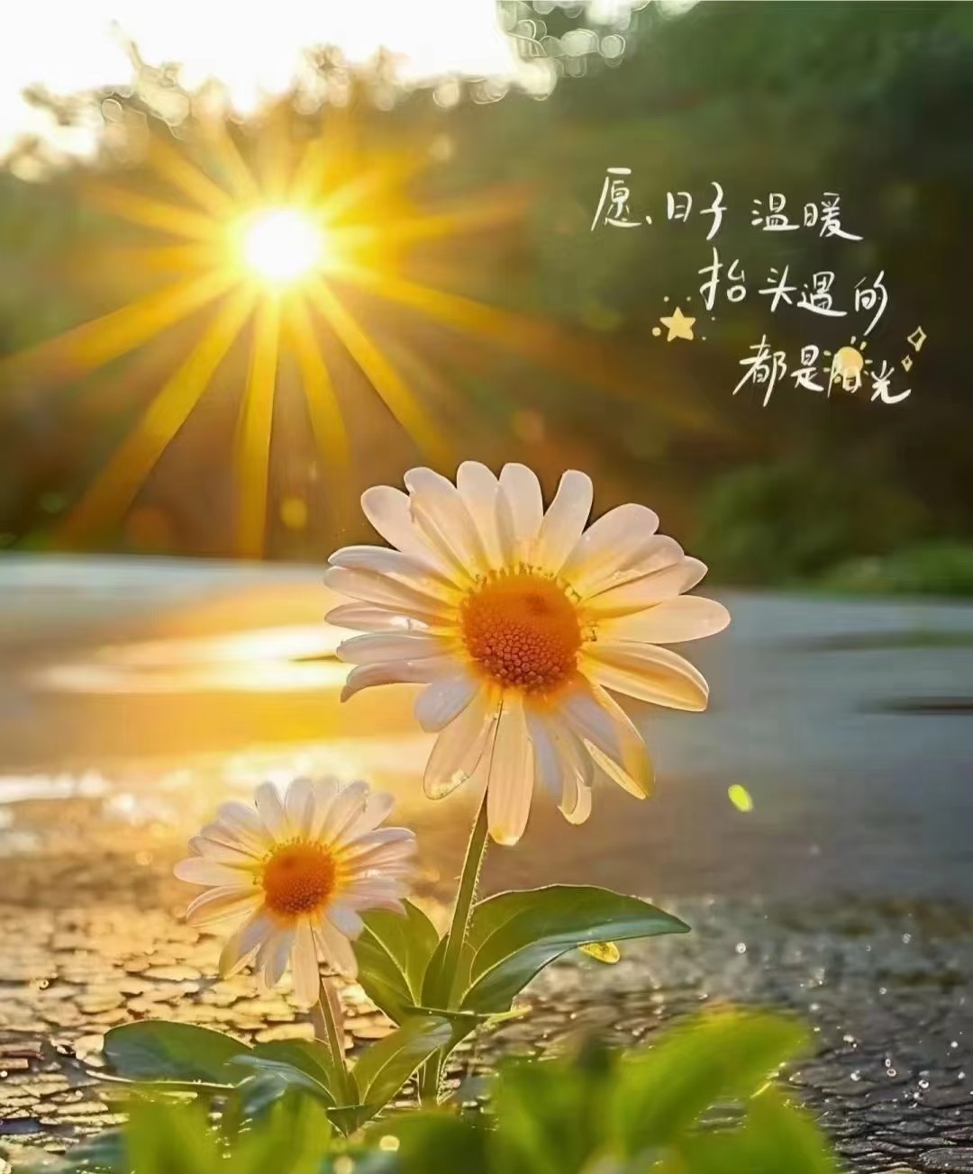 广东电子配件大全