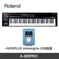 A-800PRO (61 Ощущение ключа)+МИНИГИНЕ