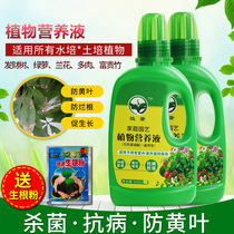 Hydroponic plant nutrient solution green Rotta meat rich tree rich bamboo flower fertilizer humic acid organic fertilizer potted plant