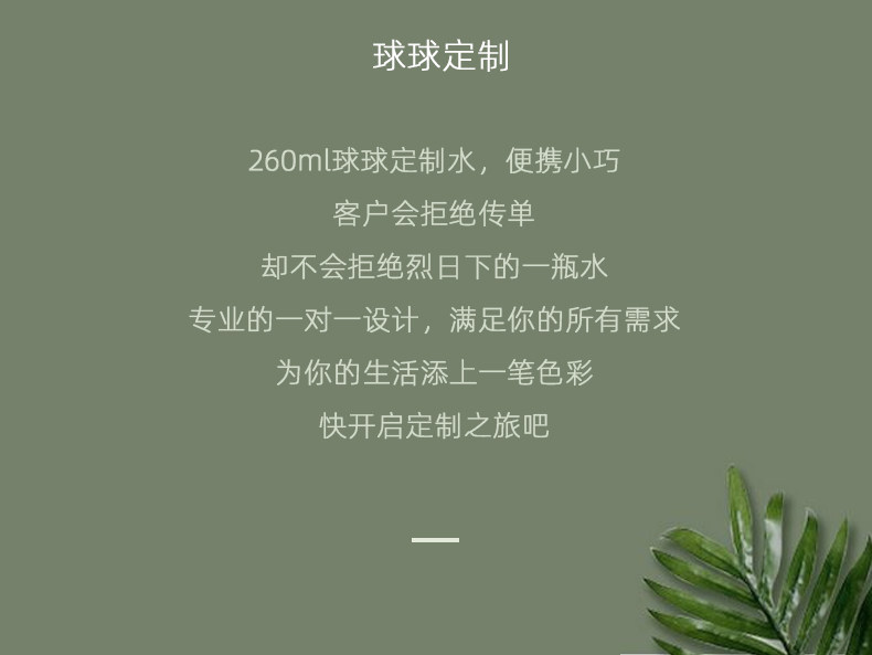 260_03.jpg