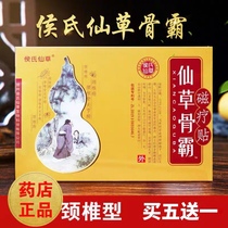 Hous domineal cervical spine shoulder Chow femoral head Bone Pain Magnetotherapy Stick Fairy Grass Domineal Bone Paste Manufacturer