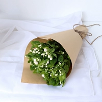 Жасмин 1 галстук [kraft paper simple pack]