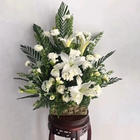 Лимонный желтый большой цветочный стиль с лимонной желтой