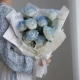 8 сломанных пучков розы