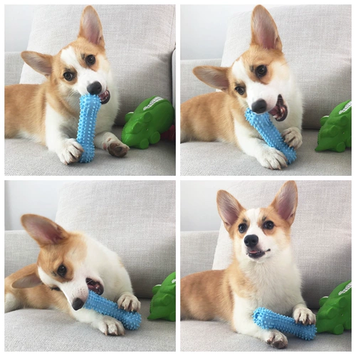 Игрушка для собак, шлифование зубной палочки игрушка для укуса мяча, маленькие щенки для щенков для собак