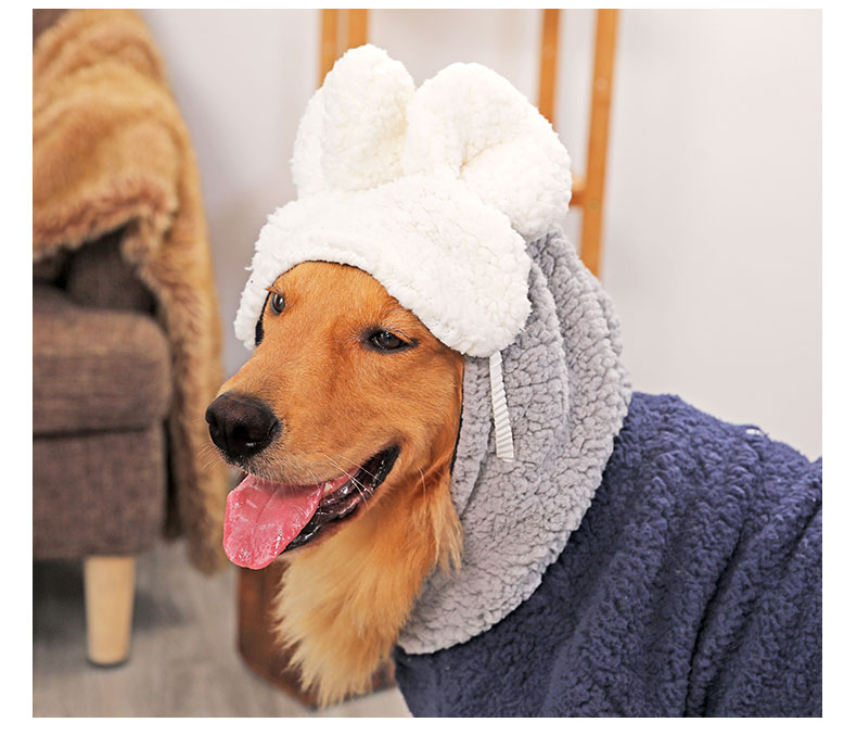 Big dog dễ thương kính mắt bông sang trọng lông hai chân với mái tóc vàng trong con chó lớn mùa thu và mùa đông ấm áp quần áo kích thước lớn - Quần áo & phụ kiện thú cưng áo múa lân cho chó