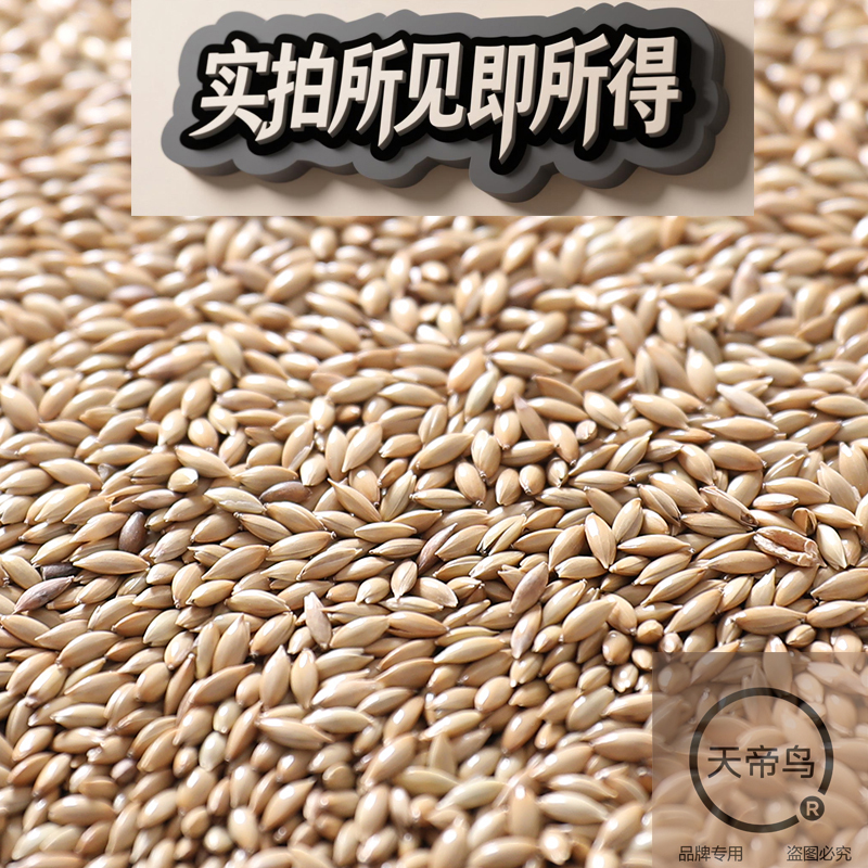 Imported Canary Seeds, Grass Seed, Budgie Seed, Cockatiel Seed, Lovebird Seed, and Finches Mixed Bird Food
