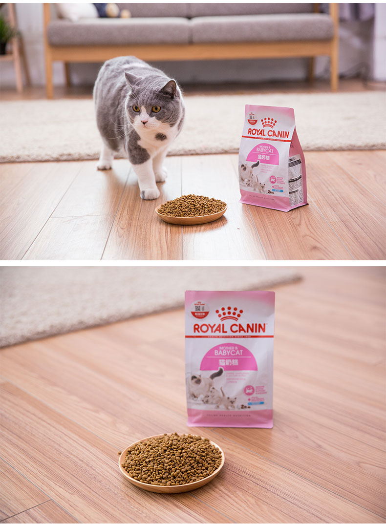 Royal Cat Food BK34 Young Cat Sữa Cake Cat (1-4 tháng) 400g * 10 gói Thức ăn chủ yếu cho mẹ và con mèo catsrang 1kg