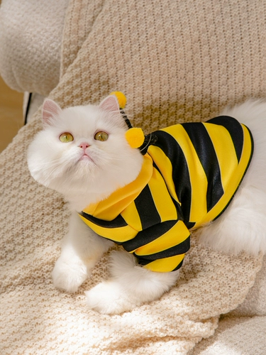 Лето тонкая пчелиная одежда, кошачий свитер, пчела, кошка, кошка, собачьи домашние принадлежности, нейронные кошки