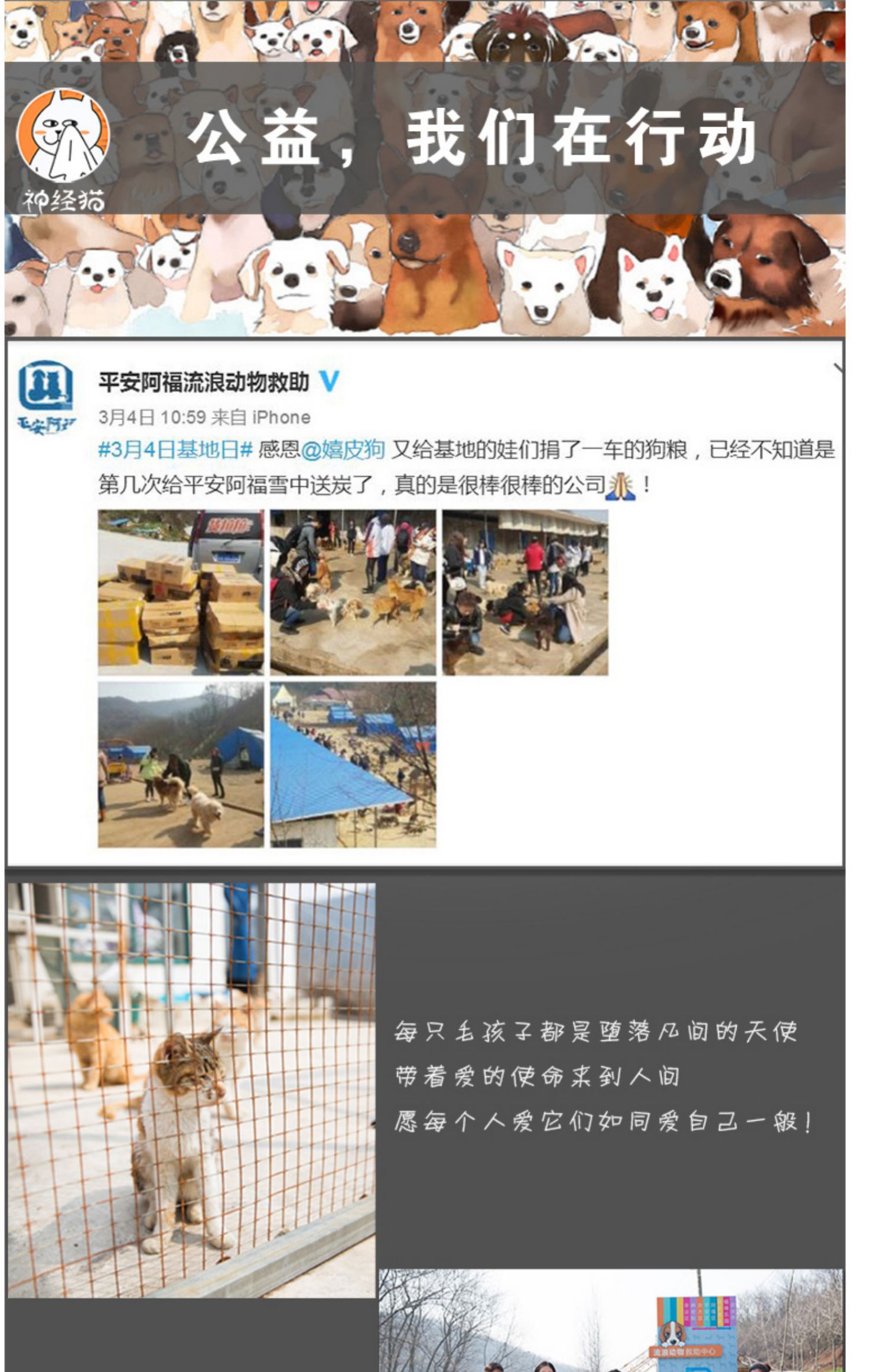 AIXIA Ai Xi Ya mèo nhập khẩu hộp đen đóng hộp mèo đầy đủ vào mèo dinh dưỡng vỗ béo mèo ăn nhẹ 160g * 12 - Đồ ăn nhẹ cho mèo thịt spam