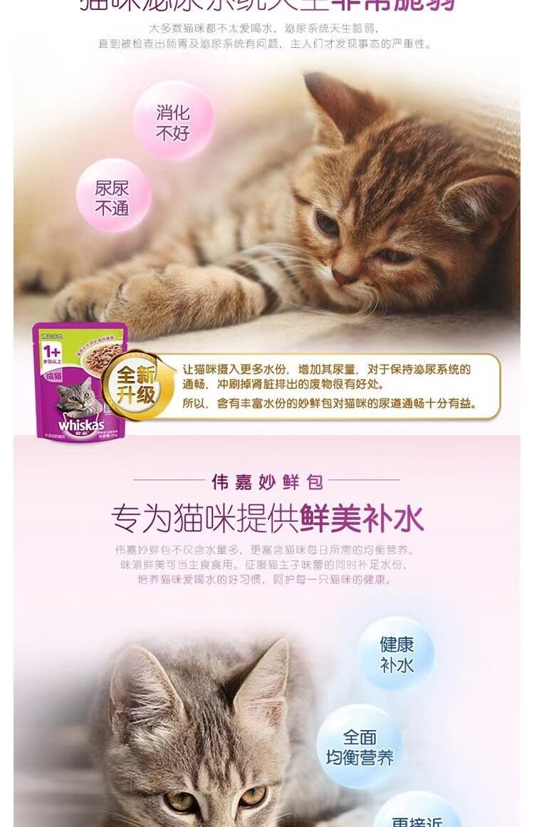Gói thức ăn ướt Weijia Gói 85gx12 Mèo Weijia mèo đóng hộp đồ ăn nhẹ thức ăn ướt vào thức ăn cho mèo 25 tỉnh kinh doanh thức ăn chó mèo