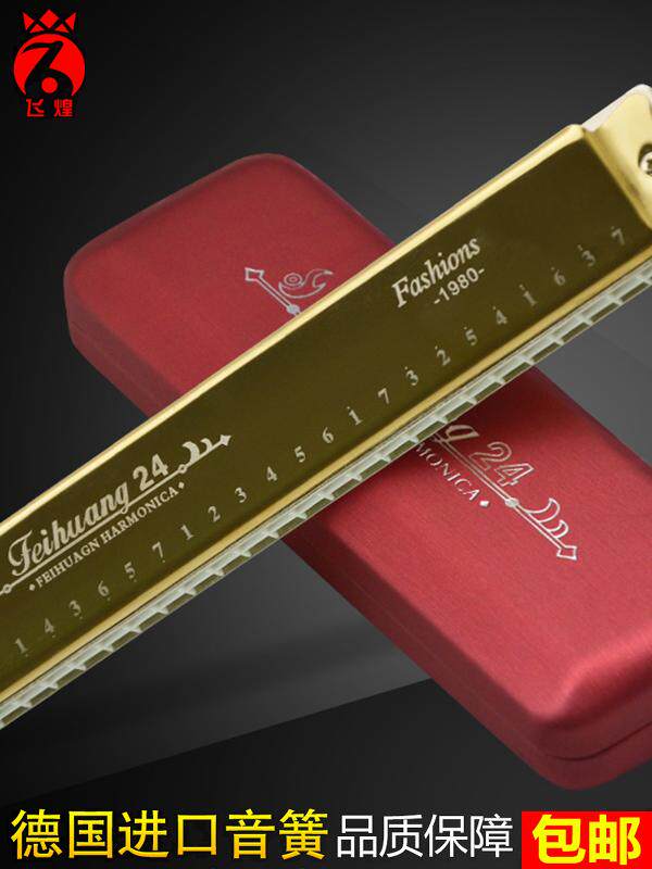 German imported gong Feihuang 24-hole overtone accented harmonica professional playing C A B C D E F G#12