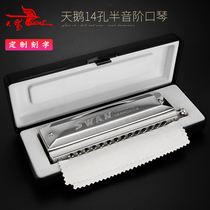 Swan halftone 10 holes 12 holes 14 Harmonica Adult Advanced Professional Playing Musical Instrument German Import Sound Spring